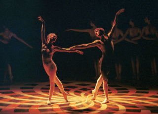 pas de deux 41-18