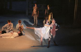 peter pan 61-15
